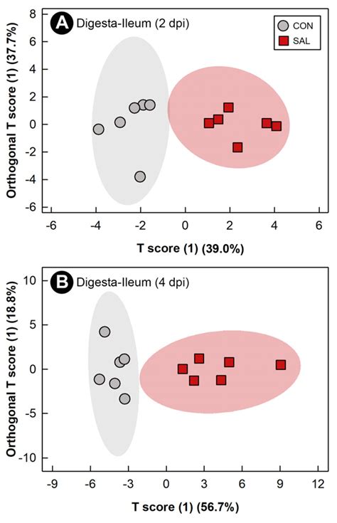 Infection by Salmonella enterica Serovar Typhimurium DT104 Modulates ...
