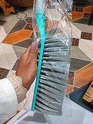 Spotzero by Milton General Cleaning Daily Duster (Aqua Green) : Amazon ...