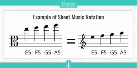 Viola String Notes and Fingering Charts | Viola Basics - Violinspiration