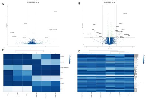 TLR5 Variants Are Associated with the Risk for COPD and NSCLC ...