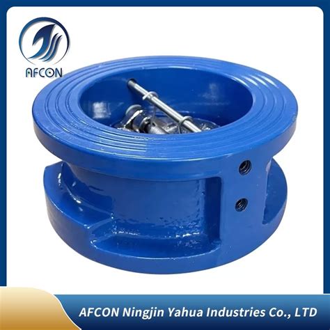 Image result for Wafer Type Spring Loaded Check Valve