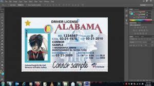 Image result for Alabama Drivers License