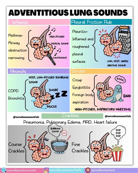 Adventitious Breath Sounds-NCLEX in 2025 | Nursing school, Nursing ...