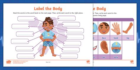 Label the Human Body Activity Sheet