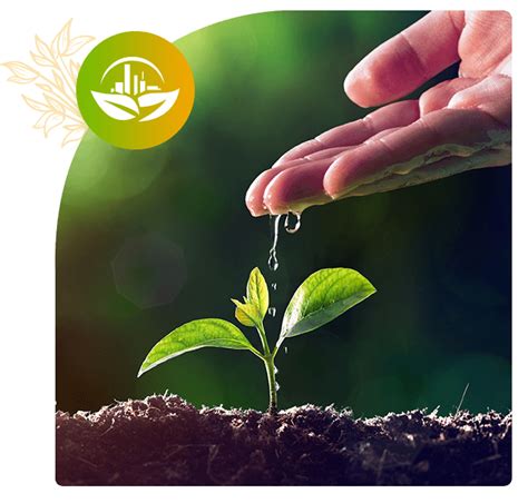Envicare Solutions Pvt. Ltd.