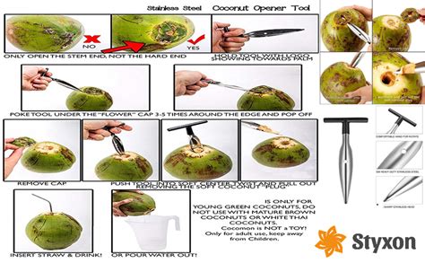 Buy Styxon Stainless Steel Coconut Opener for Fresh Green Young Coconut ...