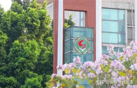 广州国际学校丨广州贝赛思国际学校入学详解及考试要求 - 知乎