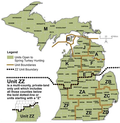 Applications open for Michigan's spring turkey hunt | Interlochen ...