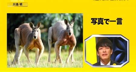 Image result for Web HTML Basic