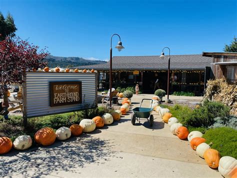 Harvest Fun at Earthbound Farms in Carmel Valley