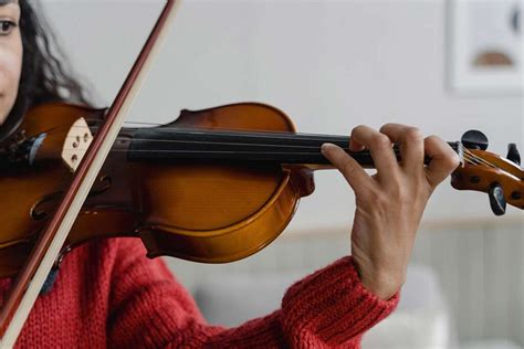 Image result for The String Instruments