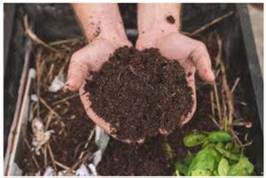 greenfarm XCIV- Vermicompost Potting Mixture for Plants and Trees , 1 ...