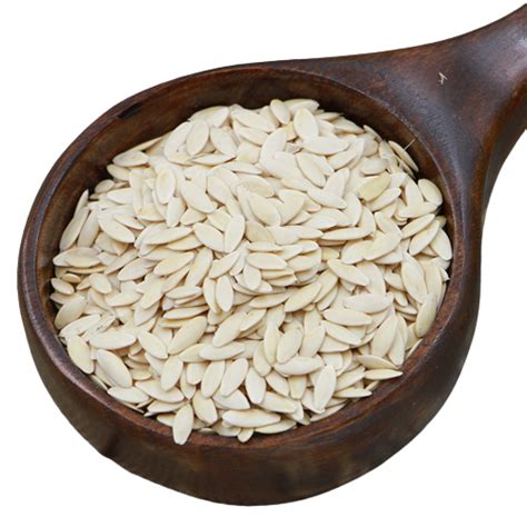 CUCUMBERS SEED (VELLARI VITHAI) 100 Gms – Jothi Herbals