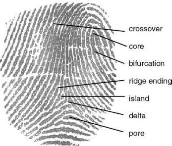 Image result for KeyCode a 030