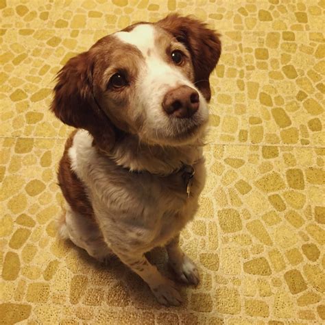 Image result for Shaping Behavior Examples