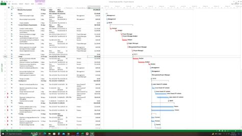 Image result for MS Project Examples PDF
