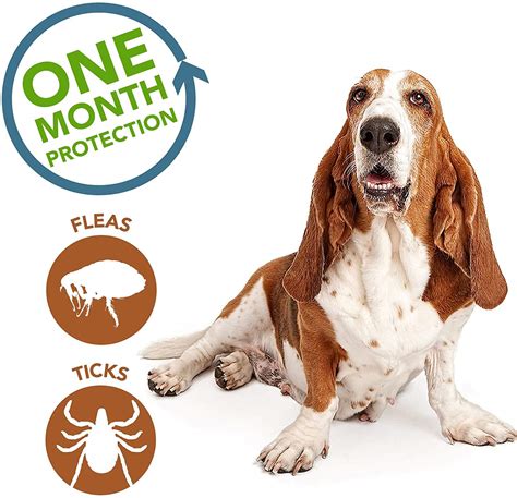 Medfly Parashield Plus Spot On Solution for Prevention & Treatment of ...