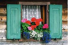fioriere per davanzale finestra sappada finestra fiorita flower finestra fioriere per davanzale finestra sappada finestra fiorita flower finestra