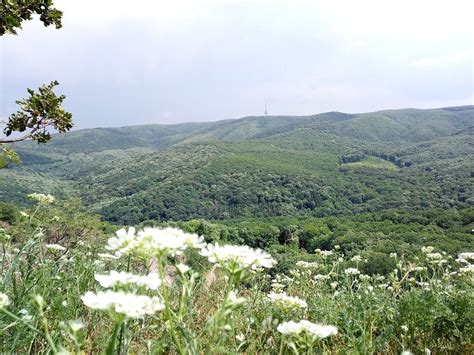 FRUSKA GORA (2025) All You Need to Know BEFORE You Go (with Photos ...