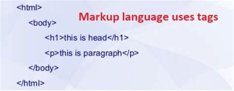 Image result for Metadata HTML