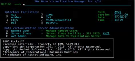 IBM Data Virtualization Manager 的图像结果