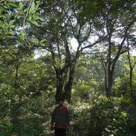 TIGER HERITAGE HOMESTAY DANDELI (Karnataka) - Guesthouse Reviews ...