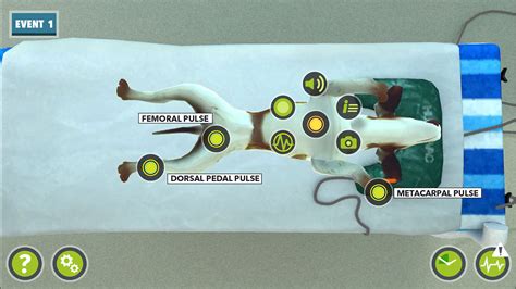 Image result for Veterinary Simulation Surgery