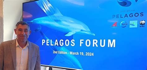 Forum Pelagos, pour une protection efficace des cétacés - longitude of lagos