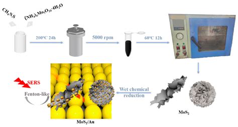 MoS2/Au Heterojunction Catalyst for SERS Monitoring of a Fenton-like ...