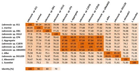 Genome Analysis of the Marine Bacterium Labrenzia sp. Strain 011, a ...