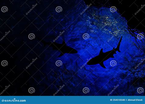Silhouetted Sharks in Deep Blue Ocean Water: a Nocturnal Underwater Encounter Stock Illustration ...