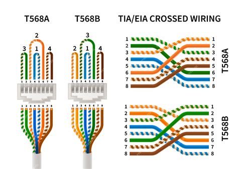 Infographie de l'affectation des broches de croisement RJ45 sur blanc ...