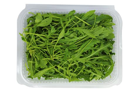 Arugula - Hydroponic