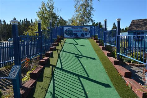 Wild Blueberry Land - Go Wandering