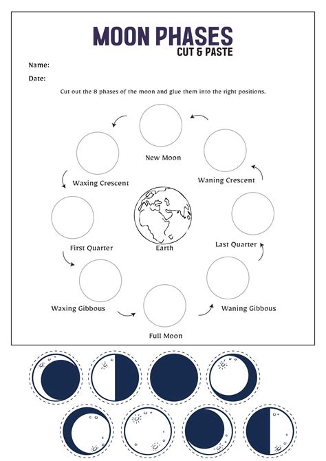 Moon phases worksheet – Artofit