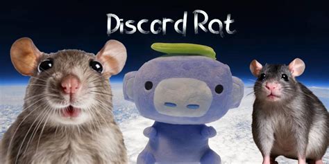 Image result for How to Make a Rat in Python