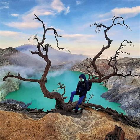 Java Island 的图像结果