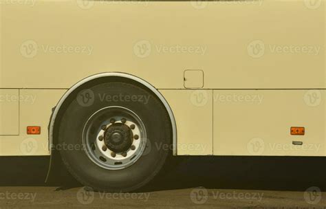 Image result for Tui Bus Liver Side View