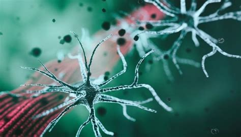 Neuromuscular Diseases