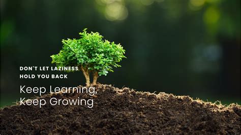 Status Code in API 的图像结果