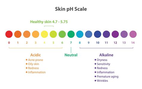 Infographic of skin pH scale illustration. The optimal pH value of ...
