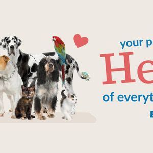 Midland County Pit Rescue Adoption Event at Bay City, 4140 Wilder Rd ...