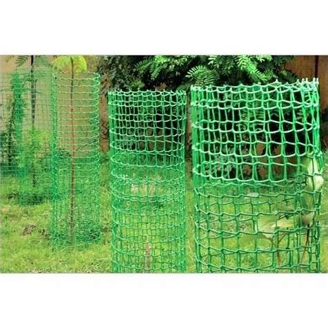 Image result for Squirrel Tree Guard