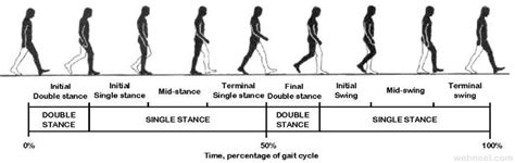 Image result for Walking Keyframes