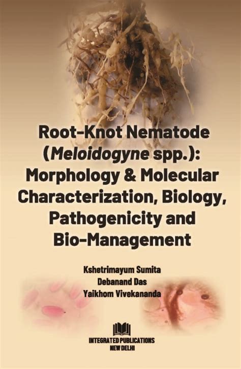 Root-Knot Nematode (Meloidogyne spp.): Morphology & Molecular ...