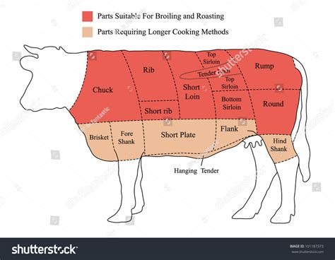 Illustration Of Beef Cuts Chart (Cow) - 101187373 : Shutterstock