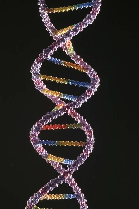 What Is The Sequence Of Bases On The Complementary DNA Strand?