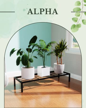 WonderStand MURRANO Multi-Tiered Plant Stand for Balcony (Black ...