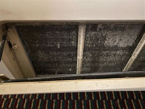 BAYMONT BY WYNDHAM YOUNGSTOWN (Ohio) - Hotel Reviews, Photos, Rate ...