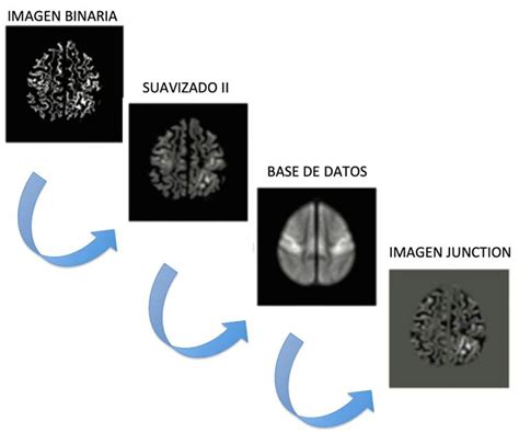 Morphometric Analysis Program MATLAB Script 的图像结果